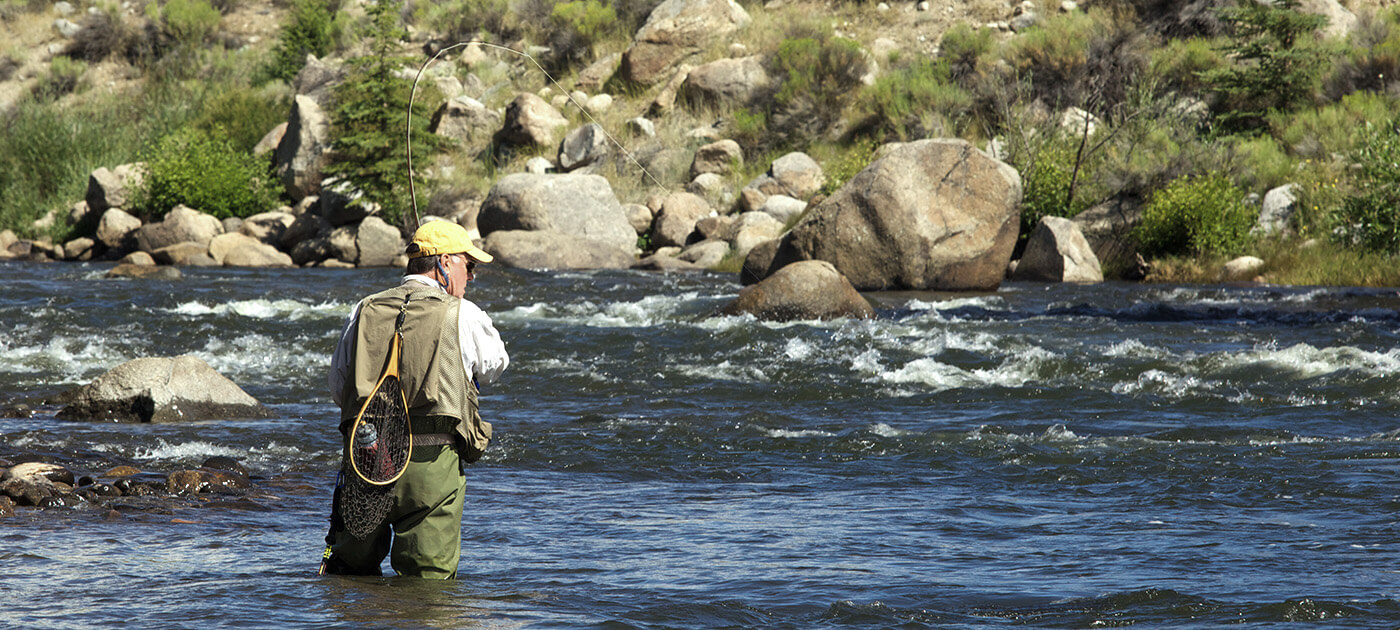 Guided Fly Fishing, Estes Park