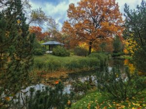 fall botanical gardens